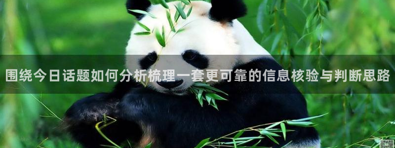 网络吃瓜资讯